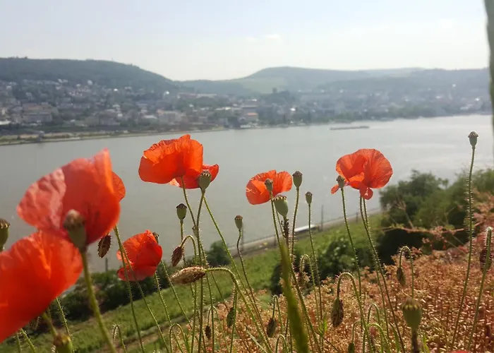 Ruthmann-Rheinblick Garni